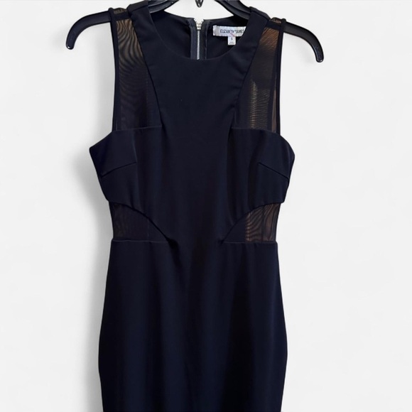 Elizabeth and James Dresses & Skirts - Elizabeth and James Mesh Panel Black sleeveless Dress size Small retails $395